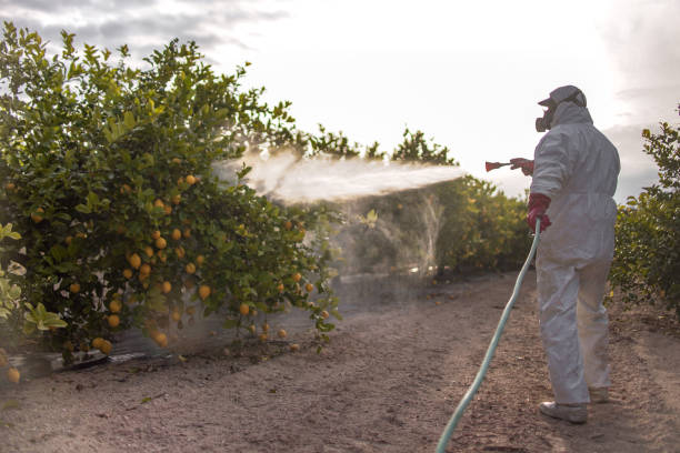 Best Pest Removal Services  in Coupeville, WA