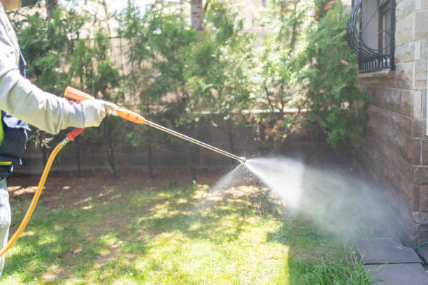 Best Emergency Pest Control  in Coupeville, WA
