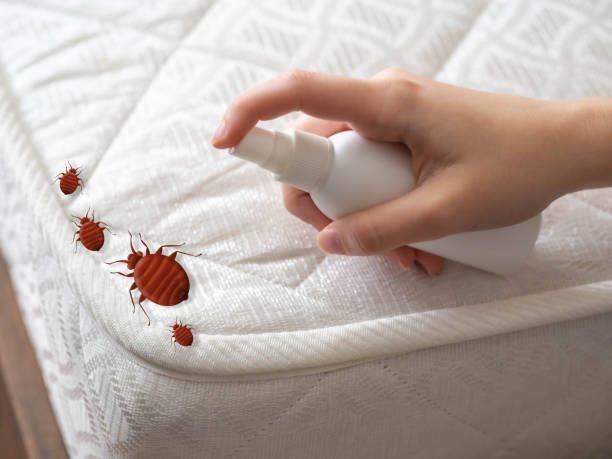 Pest Control for Restaurants in Coupeville, WA