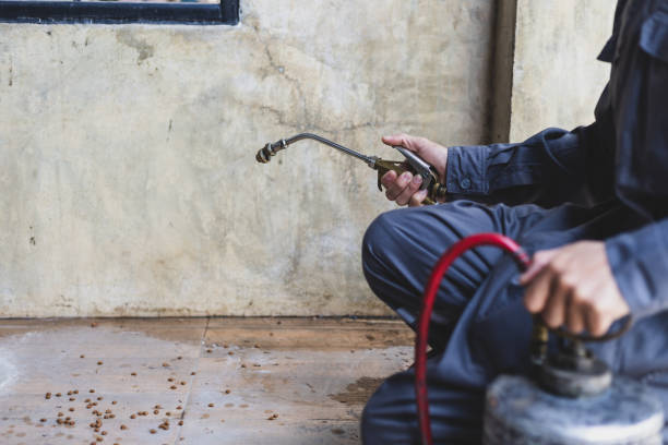 Best Termite Control Services  in Coupeville, WA